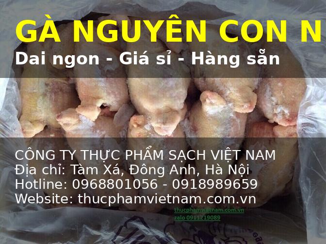 Thịt gà nguyên con đông lạnh – nguồn hàng ổn định quanh năm